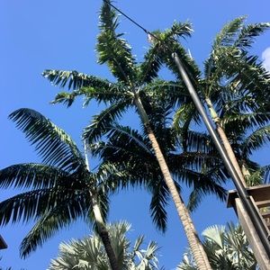 Meet your Posher, Marcia